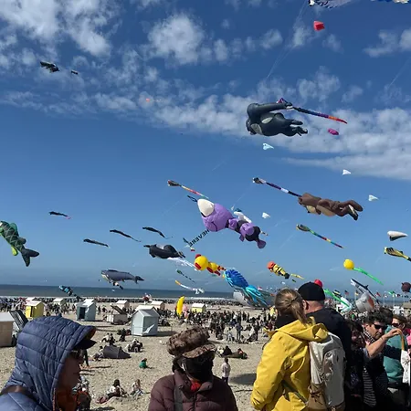 Les Buissonets Berck